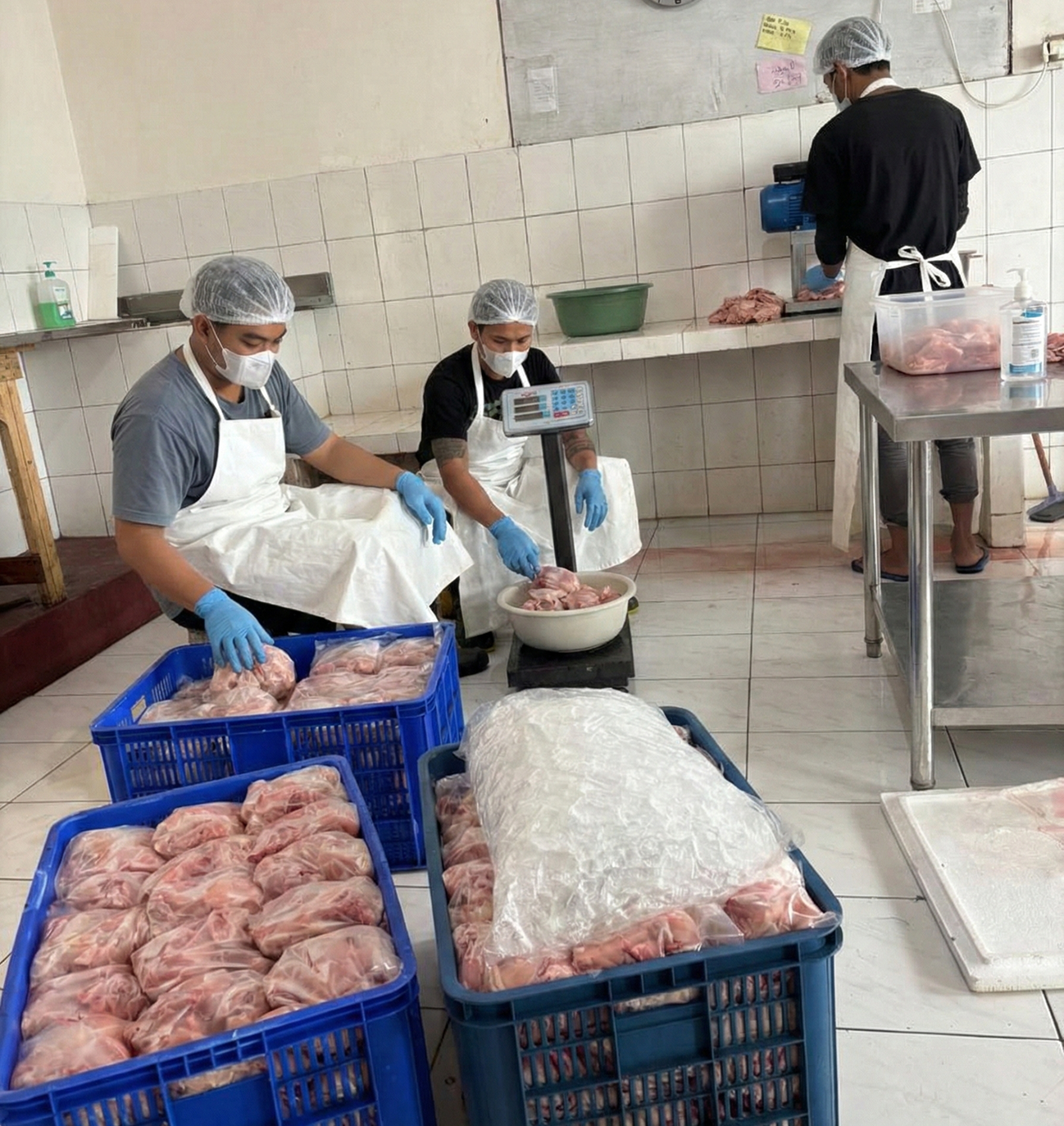 Parting and Marination Line